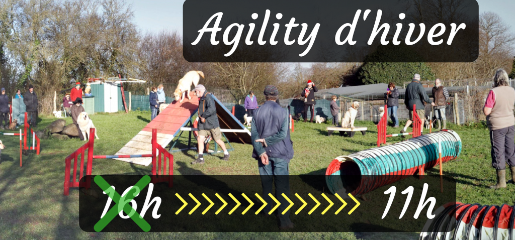 agility d'hiver 2018
