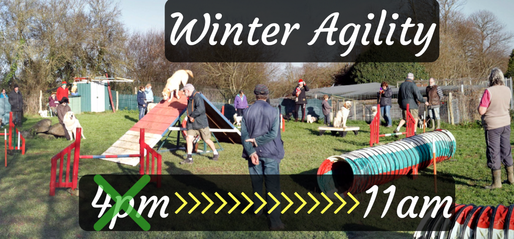 winter agility 2018