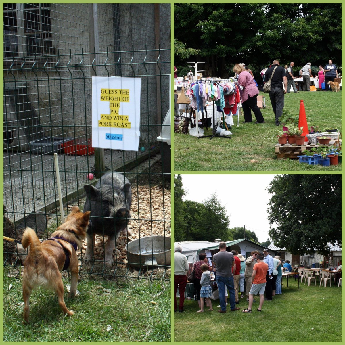 Summer Fayre 2015