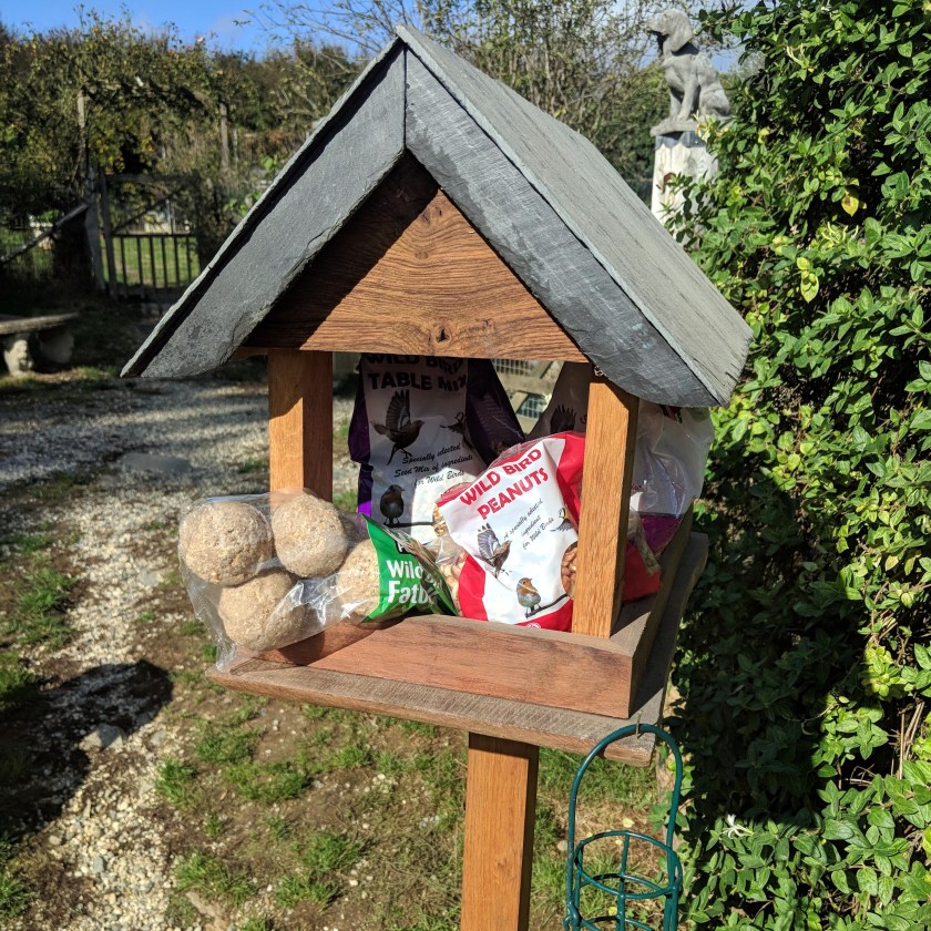 bird table filled with bird balls & seeds