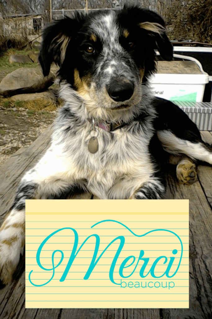 Grande-Daze est une équipe et quiconque nous soutient de n’importe quelle façon est un membre de cette équipe. Merci à tous de votre soutien et de votre aide toute au long de  cette année 2017.