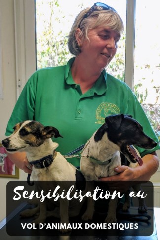 Nos conseils pour vous aider à protéger votre chien des voleurs.