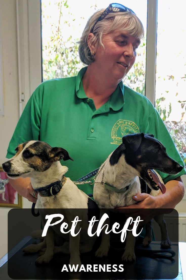 Grand daze tips for keeping your dogs safe from pet theft