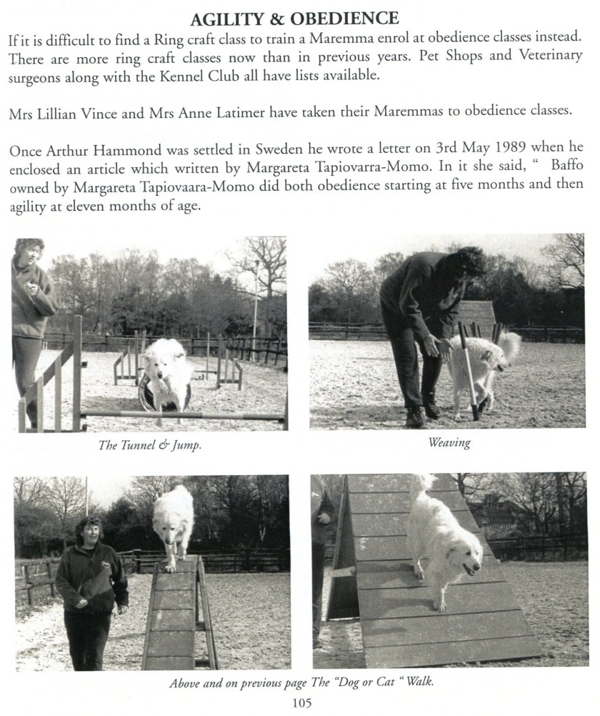 Maremma book featuring Anita Edwards and Bella