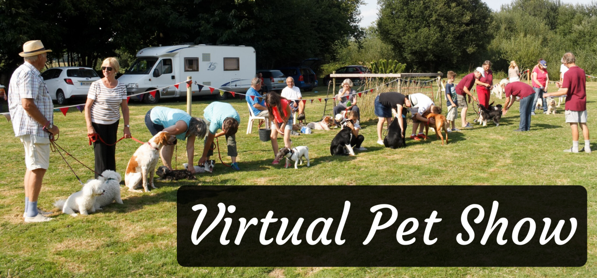 Virtual pet show&nbsp;results