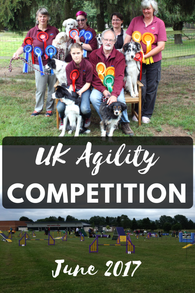 Grande Daze UK Agility competition June 2017