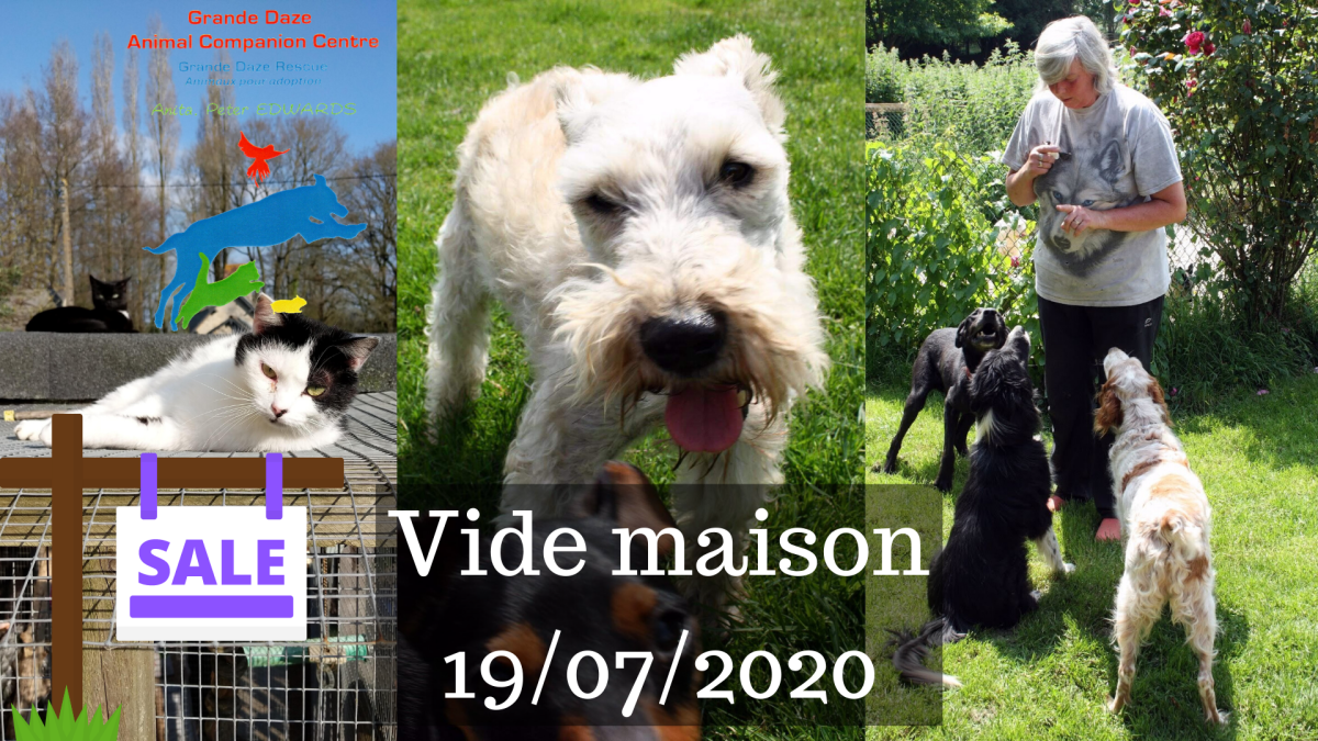 Vide Maison
