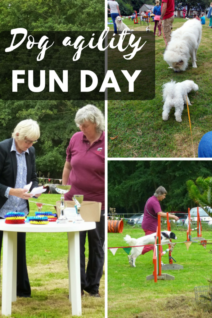 Grande Daze dog agility fun day 2014