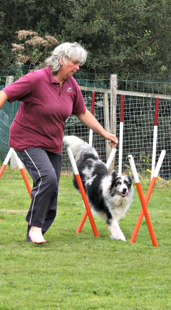 agility weave Anita Finn