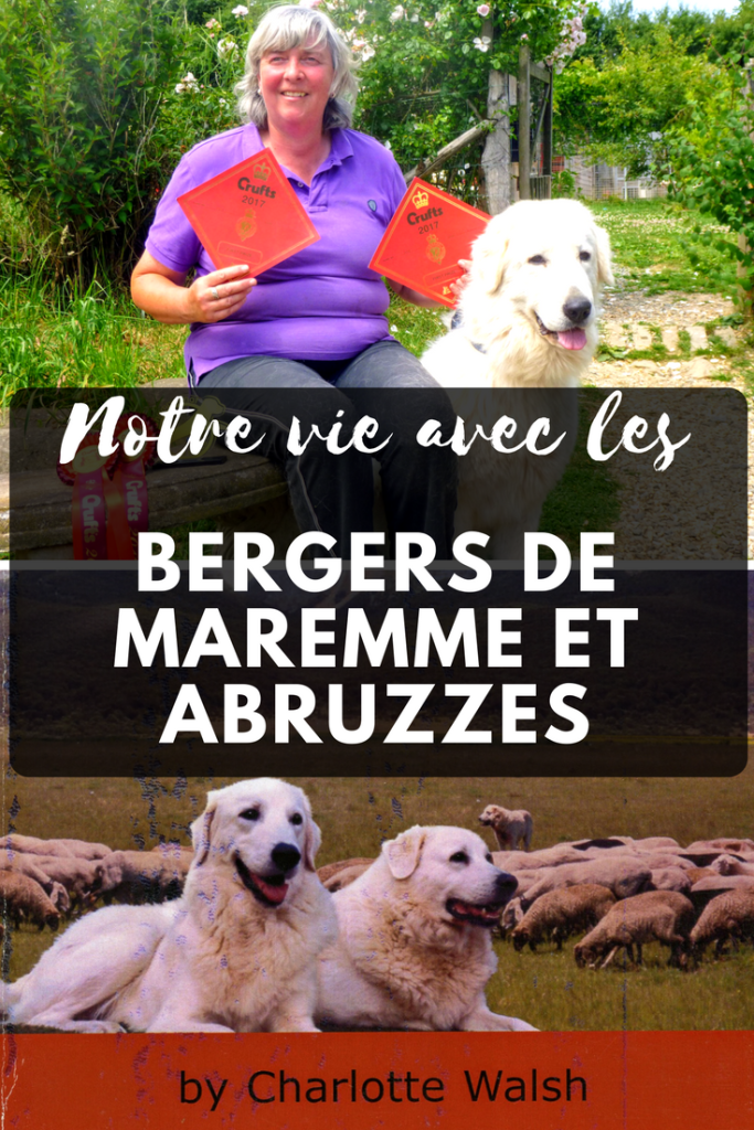 Notre vie avec les Maremmas