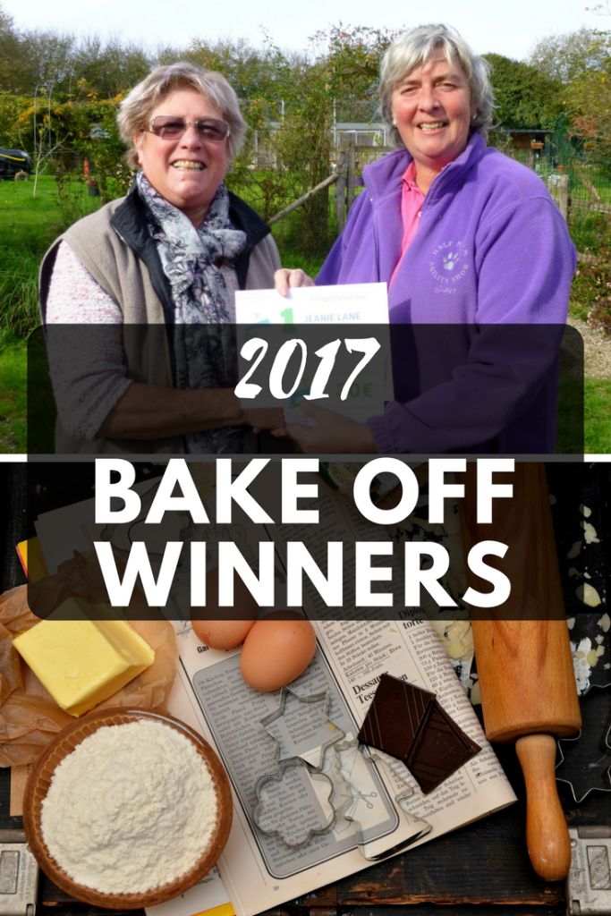 Bake Off winner 2017