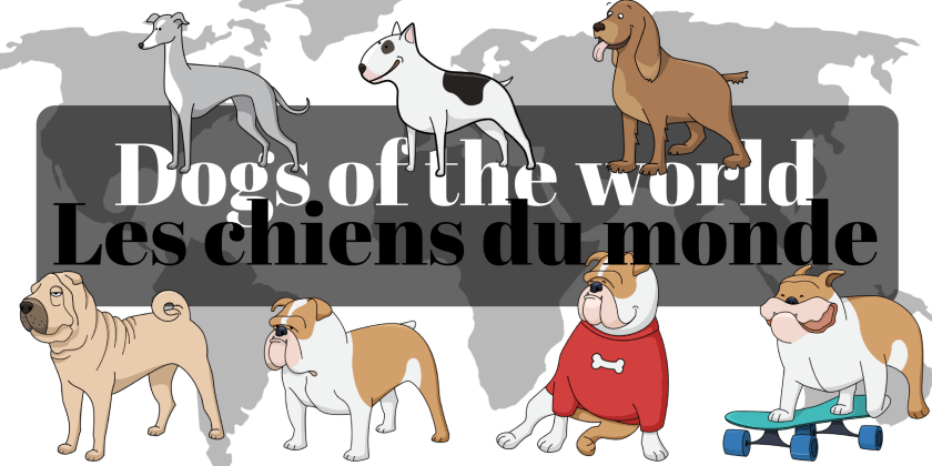 World dogs