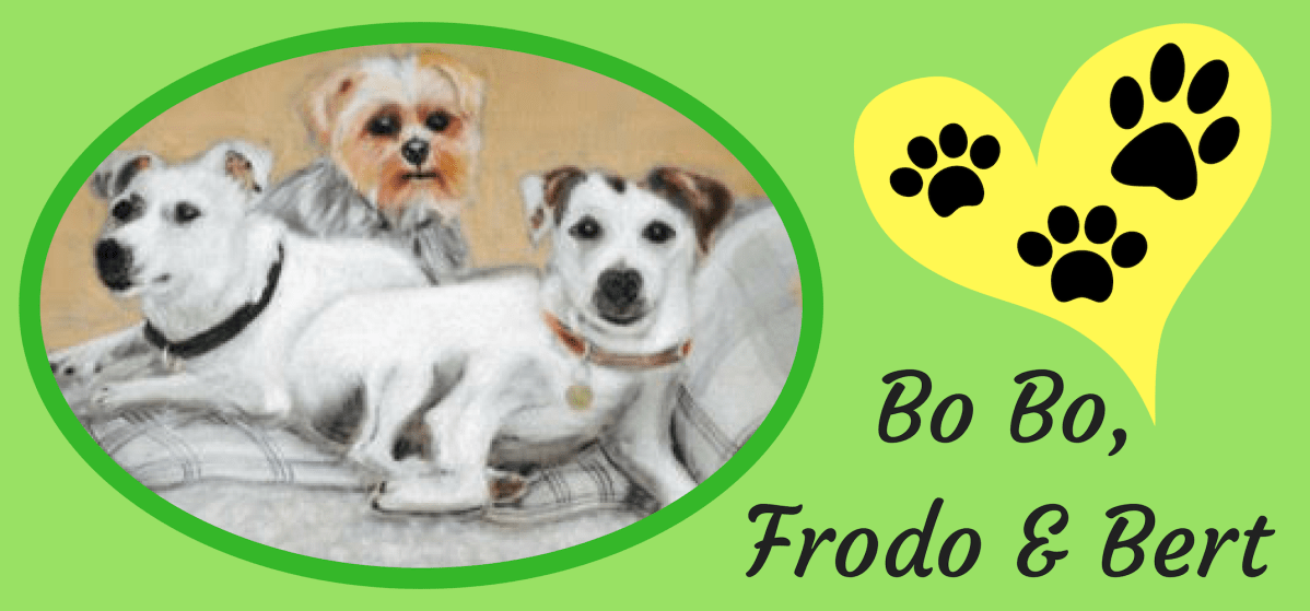 Bo Bo, Frodo and&nbsp;Bert