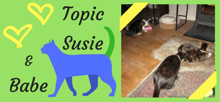 Topic, Susie and&nbsp;Babe