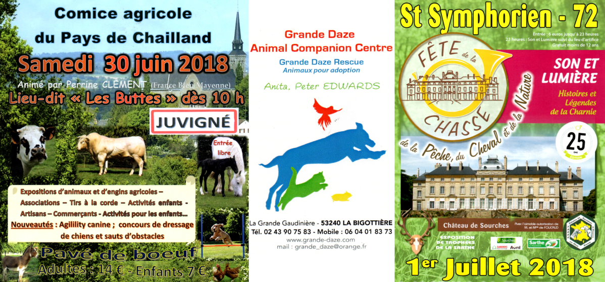 Agility demonstrations