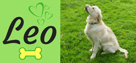 Leo