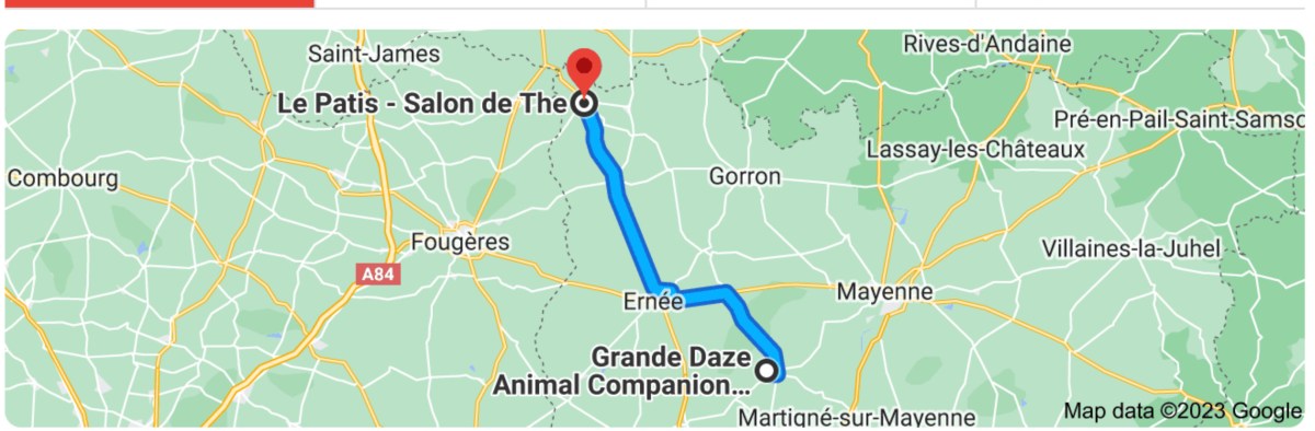 SYMBIOSIS or “A DAY OUT WITH YOUR&nbsp;DOG”