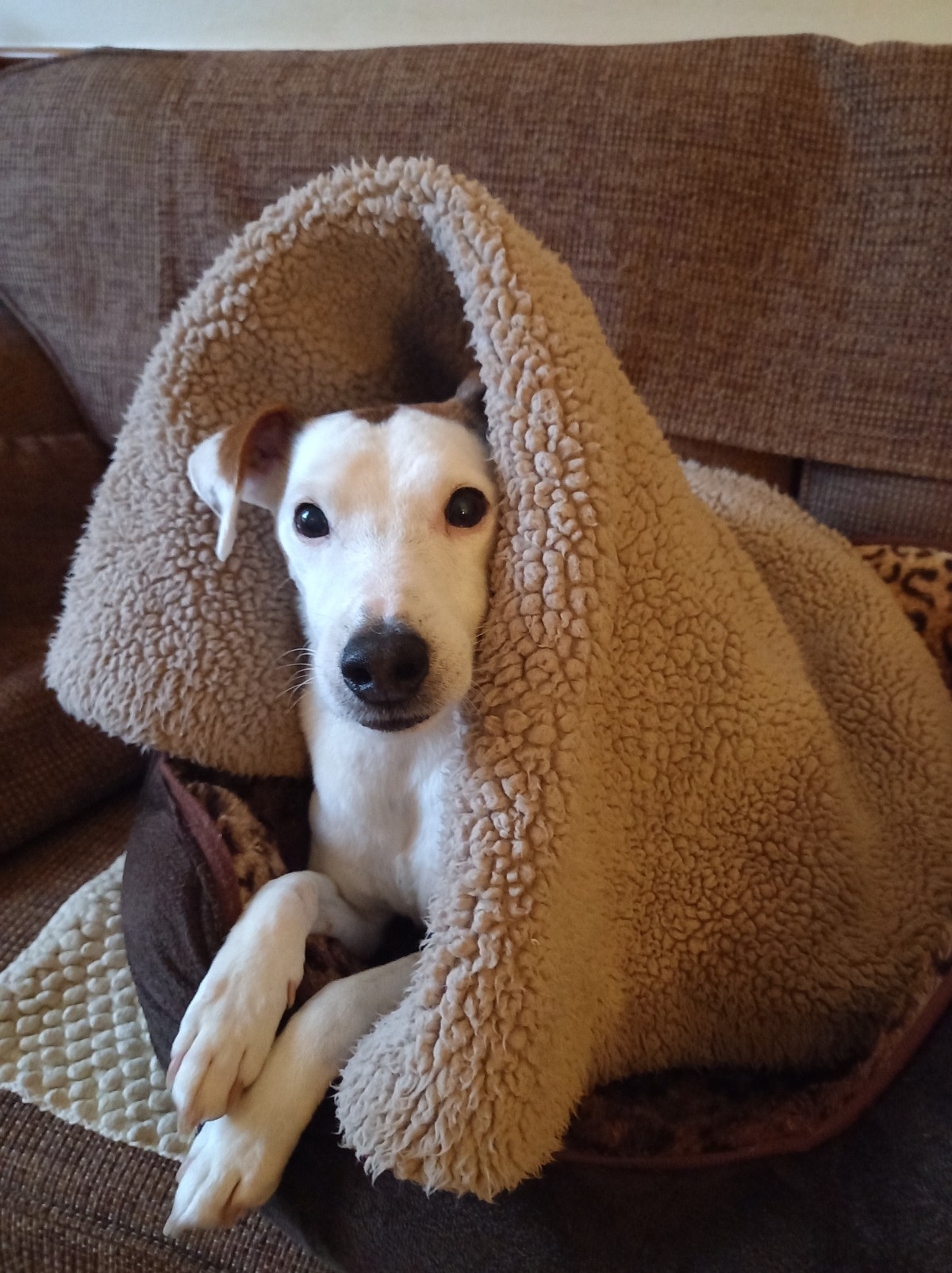 BERT – 15th May, 2011 – 12th September,&nbsp;2024